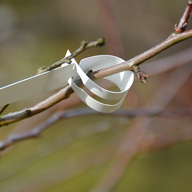 Миниатюра файла birka-petelka-na-dereve-ksmark-ru-06 № 68699