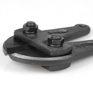 Миниатюра файла gubki-puanson-boltorez-ksmark-ru-01 № 68954