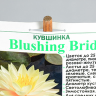 Миниатюра файла sadovaya-tablichka-na-opore-ksmark-ru-05 № 75227