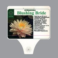 Миниатюра файла sadovaya-tablichka-na-opore-ksmark-ru-07 № 75237