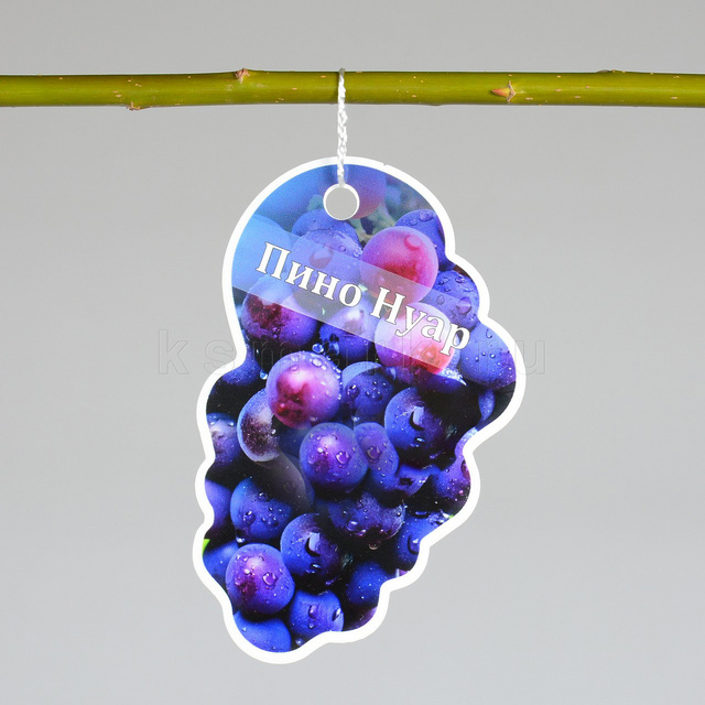 Изображение файла tablichka-fig-sadovaya-plastik-ksmark-ru-01 № 75252