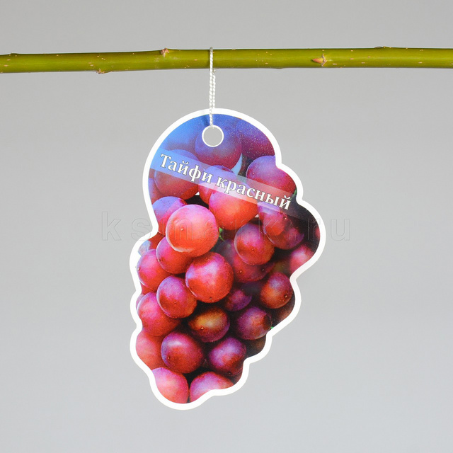 Изображение файла tablichka-fig-sadovaya-plastik-ksmark-ru-02 № 75257