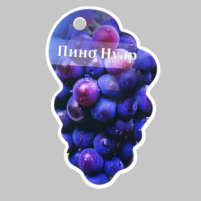 Изображение файла tablichka-fig-sadovaya-plastik-ksmark-ru-03 № 75262