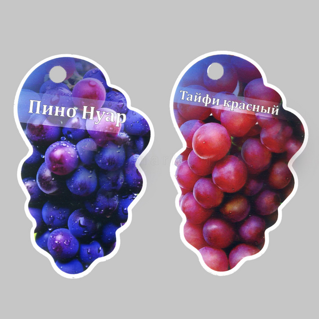 Изображение файла tablichka-fig-sadovaya-plastik-ksmark-ru-04 № 75267