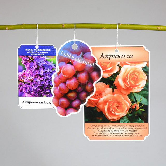 Изображение файла birka-sadovaya-navesnaya-plastik-ksmark-ru-06 № 75287