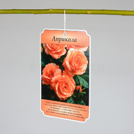 Миниатюра файла birka-sadovaya-navesnaya-plastik-ksmark-ru-03 № 75277