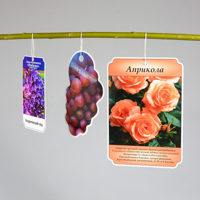 Изображение файла birka-sadovaya-navesnaya-plastik-ksmark-ru-07 № 75297