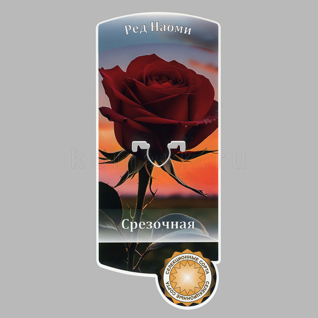 Изображение файла sad-tablichki-plastik-bortik-02 № 75317