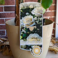 Миниатюра файла sad-tablichki-plastik-bortik-01 № 75312